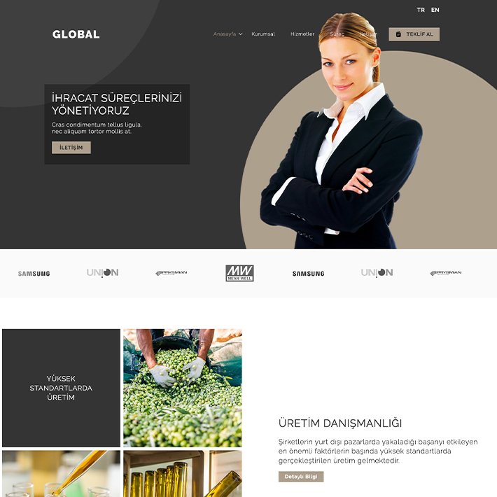 Supervision Website Preview